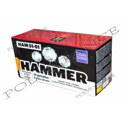 Hammer 1  51s  HAM51-01  F2  2/1