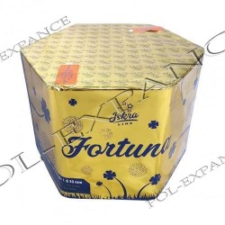 Fortuna 61s SFCM1761B  F3  2/1