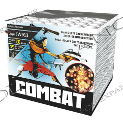 Combat 49s JW913  F2  8/1