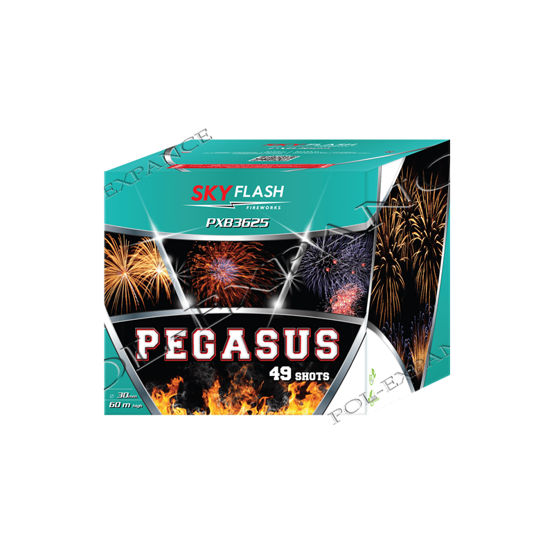 Pegasus Sky Flash 49s PXB3625  F3  2/1